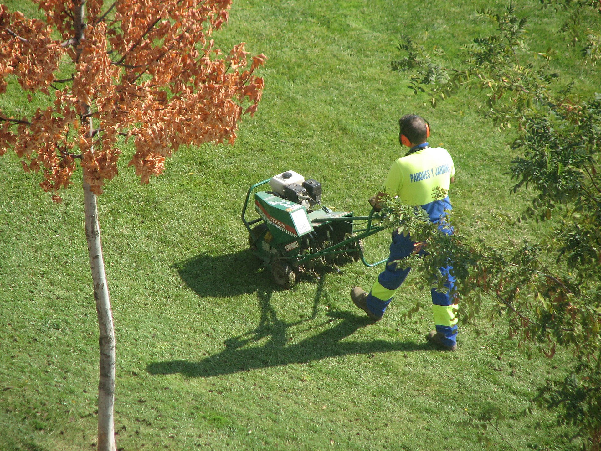 Operator using a core aerator across healthy turf